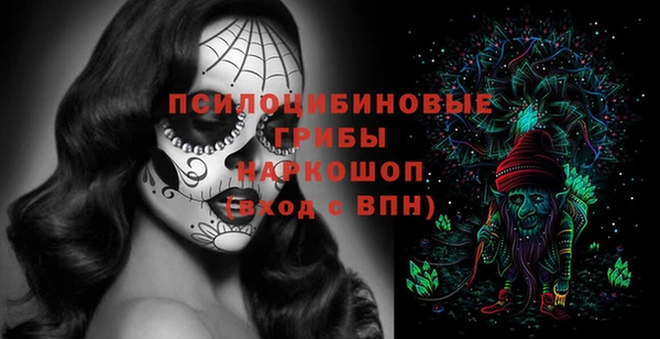 ГАЛЛЮЦИНОГЕННЫЕ ГРИБЫ Тихорецк