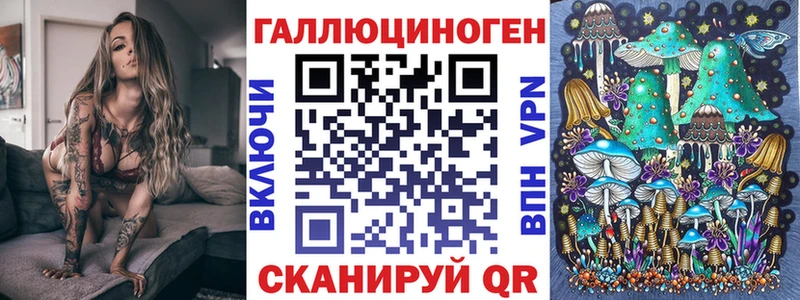 Купить  Горняк  Псилоцибиновые грибы Psilocybe 